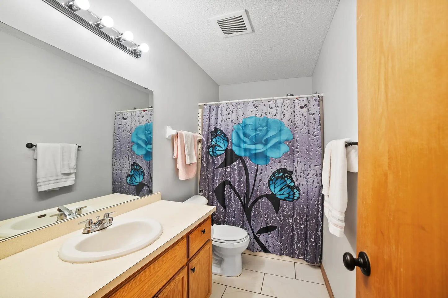 10028 Somerset Lane, Monticello, MN 55362