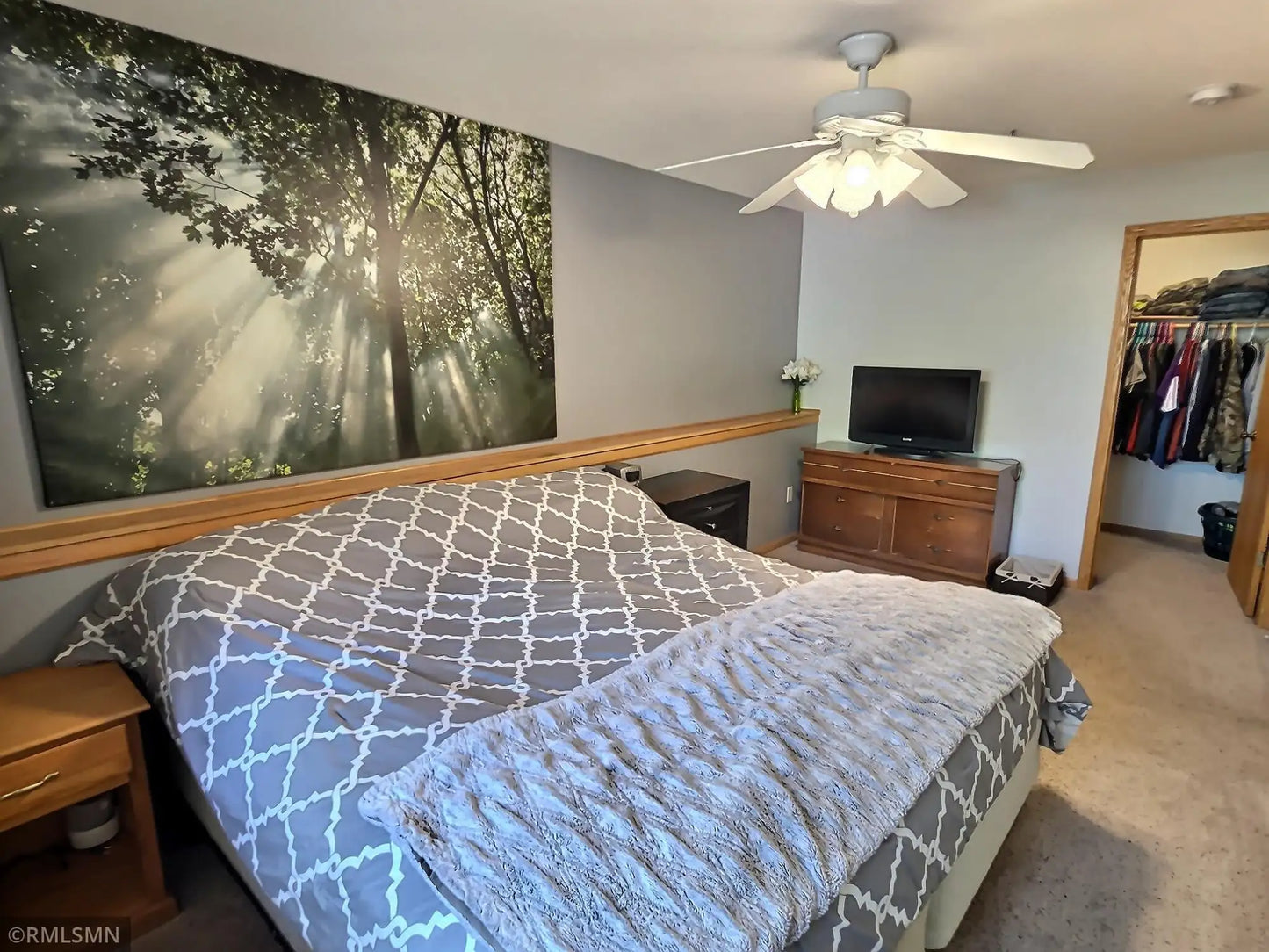 245 Bluff Street, Clearwater, MN 55320