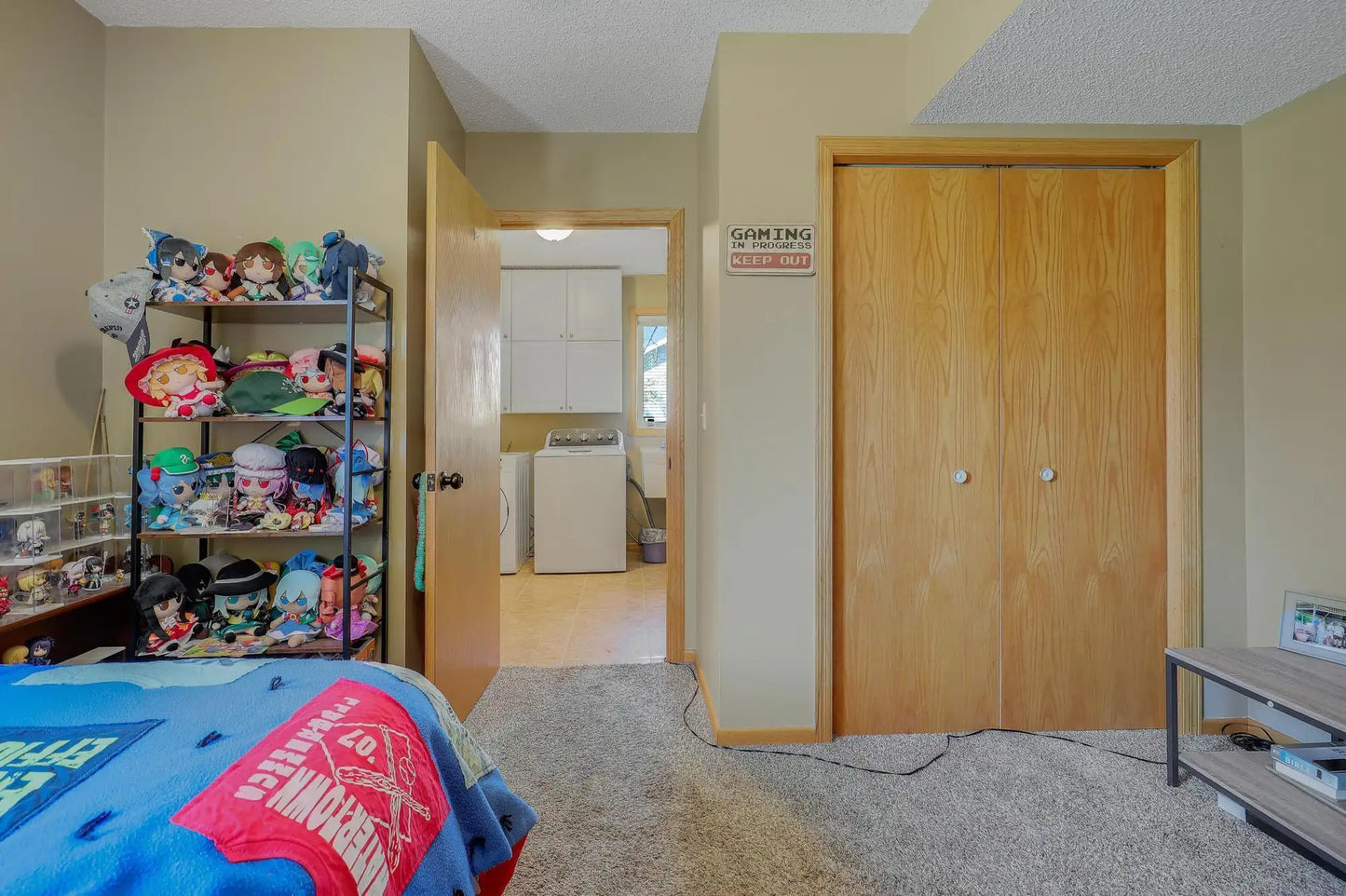 801 Dutchmans Way, Watertown, MN 55388