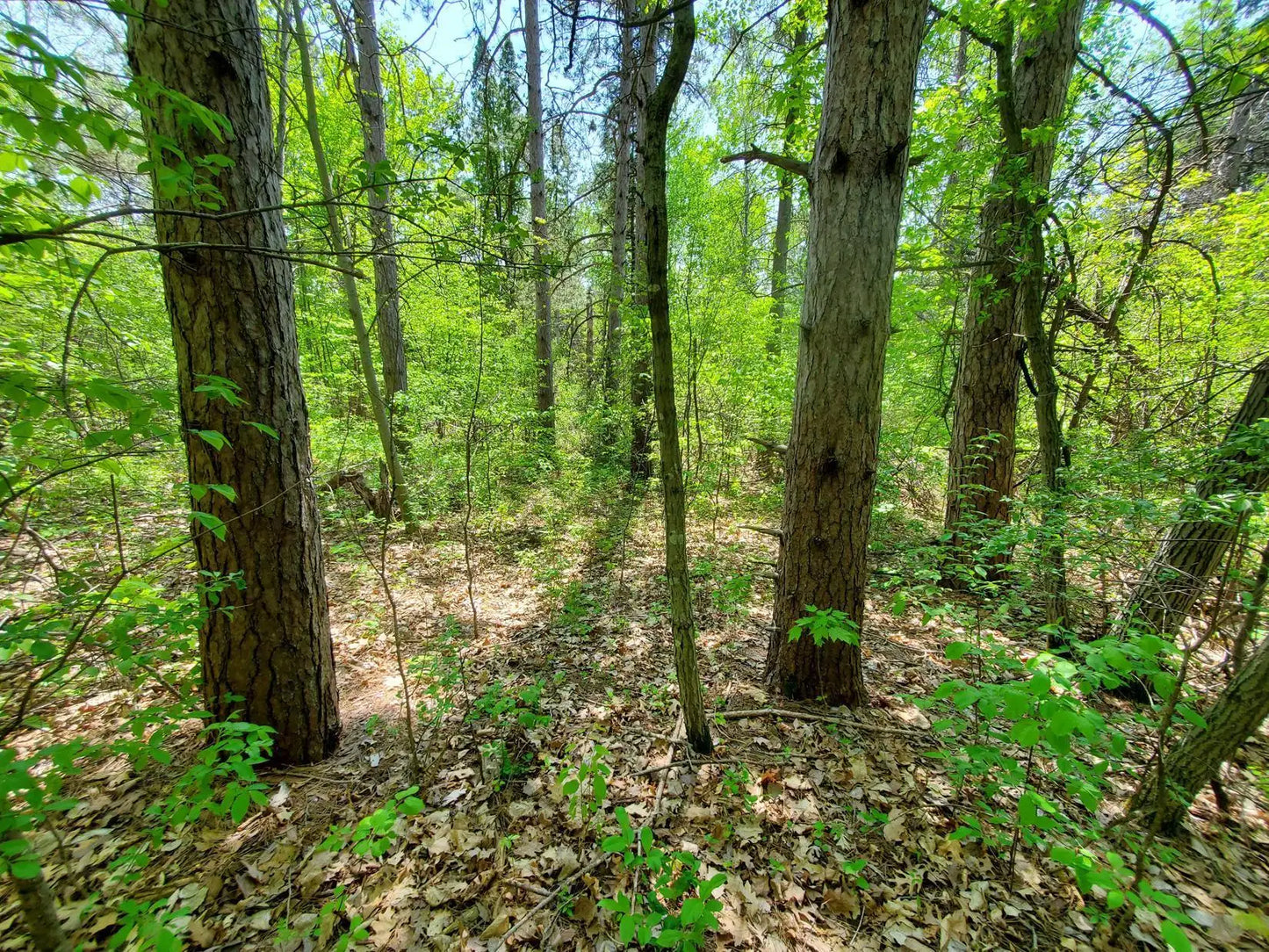 XXX Saint Croix Trail, Scandia, MN 55073