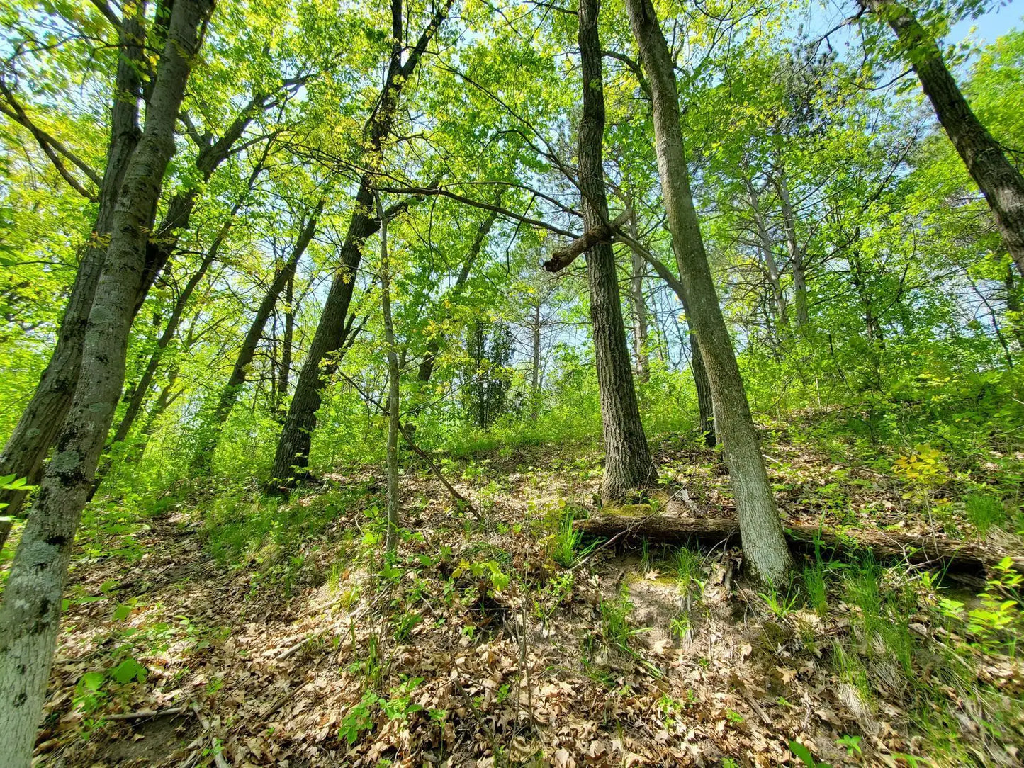 XXX Saint Croix Trail, Scandia, MN 55073