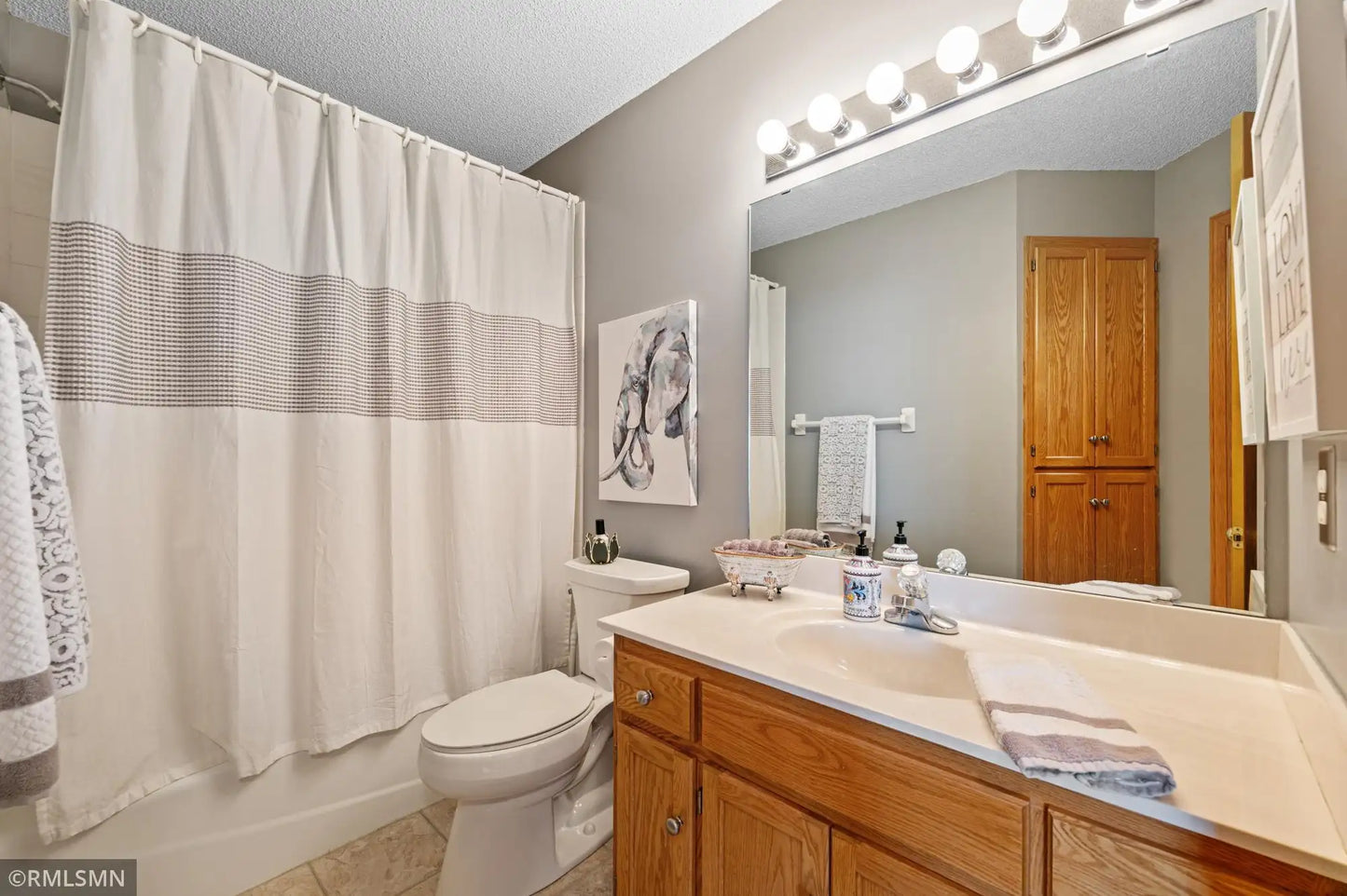 4263 143rd Street, Rosemount, MN 55068